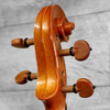 Eastman Strings VA200BST155 15.5" Step-Up Viola Outfit