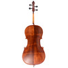 Scherl & Roth SR55 Galliard Student Cello - 4/4