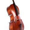 Scherl & Roth SR55 Galliard Student Cello - 4/4