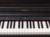 RP701-DR Digital Home Piano Dark Rosewood Keys