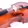 Erwin Otto 14" Viola Full Outfit USED