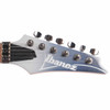 Ibanez RG Standard Electric Guitar - Classic Silver Fade Metallic - AIMM EXCLUSIVE COLOR