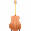 Taylor GS Mini Sapele Back