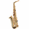 Selmer ASOL300 Alto Sax Outfit USED [AK06914063]