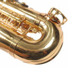 Selmer ASOL300 Alto Sax Outfit USED [AK06914063]