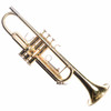 Bach TR300 Trumpet Outfit USED [F48635]