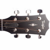 Taylor 314ce Rosewood Special Edition Head Front