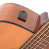 Yamaha 2021 FGX800C w/Bag USED Detail