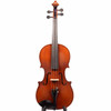 Glaesel VA10E3CH 16" Adult Viola Outfit USED