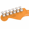 Fender Player Plus Stratocaster - Sienna Sunburst