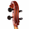 Used 4/4 Cello Outfit [10086-ISI12406]