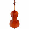 Eastman VC95 Cello Outfit USED [14936400]