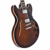 D'Angelico Stopbar Premier DC - Brown Burst