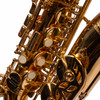 Blessing Student Alto Saxophone Outfit USED
