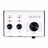 Blackstar Polar 2 - 2 Channel Guitar Interface