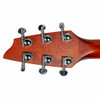 Breedlove 2013 Stage D25/SRe Acoustic Guitar w/OHSC USED Head Back