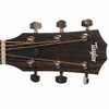 Taylor 414ce Studio Head Front