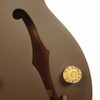 Epiphone Tom DeLonge Signature ES-333 USED Controls
