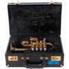Getzen Eterna Series 940 Piccolo Trumpet Outfit USED
