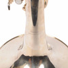 Yamaha YMP-204MS bell showing Yamaha logo engraving on silver-plated finish card