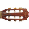Taylor NS34-CE Classical Electric Guitar w/OHSC USED Head Front