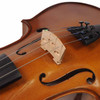 Cremona SV430 3/4 Violin Outfit Used Bridge