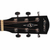 Alvarez Regent Dreadnought w/Deluxe Gig bag