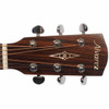 Alvarez AD60 Herringbone Acoustic Guitar Head Front