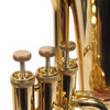 Eastman Euphonium 3 Valve Lacquer Used