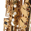 Close-up of lower saxophone keywork and pearl touches with scratches and finish wear on the key guards. card