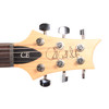 PRS CE24 Custom Color - Eriza Verde w/Black Back - B-Stock