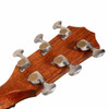 Taylor Custom Grand Pacific - Figured Blackwood/Adirondack - ONLY 25 AVAILABLE WORLDWIDE - B-Stock card