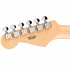 Fender Standard Stratocaster® HSS - Candy Cola card
