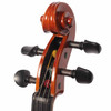 Eastman VL80 4/4 Violin Outfit Used
