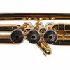 Bottom view of the King 600 trumpet valve caps and valve casings card