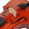 Eastman VL80 4/4 Violin Outfit Used [V2310315]