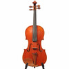 Eastman VL200 4/4 Violin Outfit Used [12801816] card