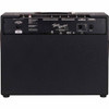 Back of Fender Tone Master® FR-12 Powered Cabinet