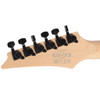 Ibanez RG470DX Electric Guitar - Wine Red Frozen Matte