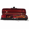 Ernesco Workshop violin outfit inside red-lined fitted case with bow and accessory compartment. card