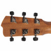 Head Back Breedlove Roots Concert SMe - Edgeburst