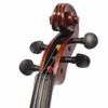 Close-up of the violin scroll and pegbox showing the tuning pegs and scroll carving. card
