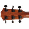 Rear view of the Taylor Next Gen 814ce LTD headstock highlighting the mahogany neck and Taylor-branded tuning machines. card