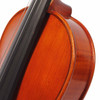 Close-up of the upper bout showing the spruce grain and edge purfling. card