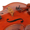 Close-up of the bridge, tailpiece, strings, and lower bout. card