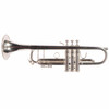 Side profile of the Bach Stradivarius silver Bb trumpet showing the bell, valves, slides, and tubing. card