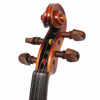 Close-up of violin scroll, pegbox, and four dark wood tuning pegs. card