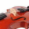 Close-up of violin bridge, strings, f-hole, tailpiece, and four fine tuners. card