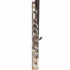 Close-up of the flute body, keys, and key cups. card