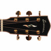 Close-up of black Eastman headstock with pearl inlays and gold tuning machines. card